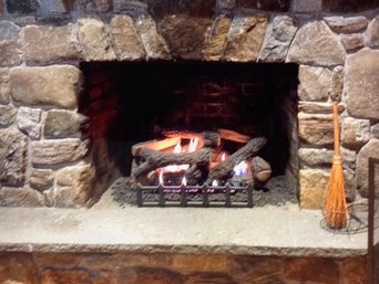 Empire LP Gas Log Set