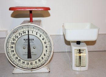 Hanson Model 2000 Utility Scale & Diet Scale