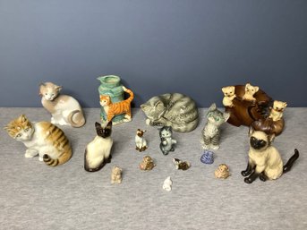 Mixed Cat Lot