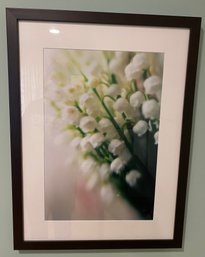 Framed Floral Photo Print