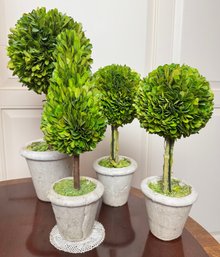 Four Decorative Topiaris