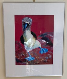 Framed Blue-footed Booby Bird Art Piece