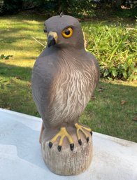 Red Tailed Hawk By BIRD B.GONE Inc