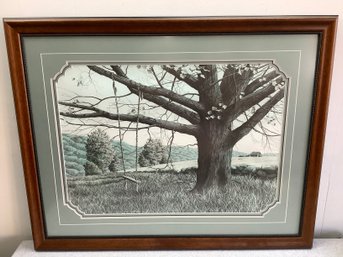 Framed Print Of A Tree Swing