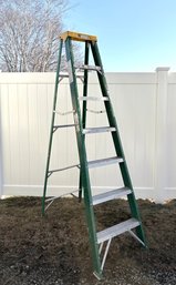 Davidson Fiberglass 7ft Ladder