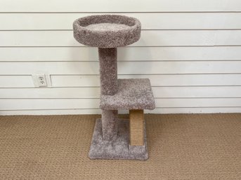 Cat Scratcher Post