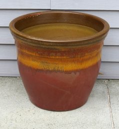 A Ginormous Terracotta Patio Planter / Tree