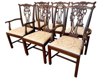 Six Beautiful Chippendale Dinning Chairs .
