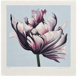 LOWELL BLAIR NESBITT (American, 1933-1993) Parrot Tulip III, 1980 Nikki Haskell Collection