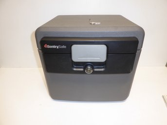 Sentry Fire/waterproof Safe With Key