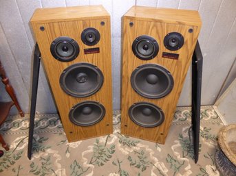 Pair Of Sony Floor Speakers