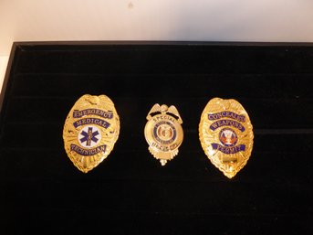 Lot Of 3 Miscellaneous Badges