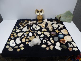 Miscellaneous Nautical Lot