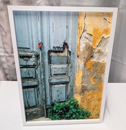 White Framed Rustic Door, Wall & Plant Scene Picture