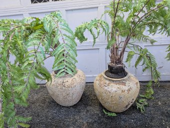 Large Flat Faux Ferns Potted W/ Handmade Antique Style Round Textured Ceramic Vases