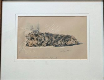 Framed Print Of Wire Haired Dachshund Sketch By Lucy Dawson
