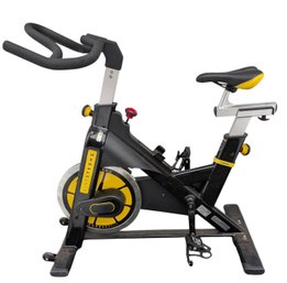 Livestrong LS9.9IC Indoor Cycle (by Horizon/Matrix Fitness)