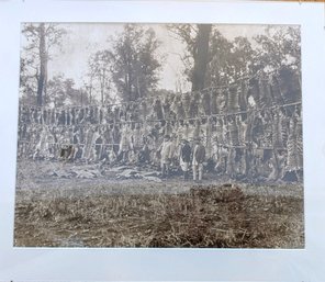 Black And White Vintage Photograph Of Tiger Pelt Hunting Trophy Display - A Little Shocking And Bizarre