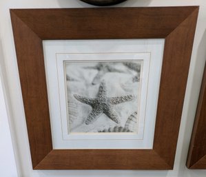Wood Framed Star Fish Print