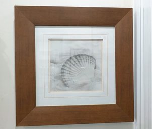 Wood Framed Clam Shell Print