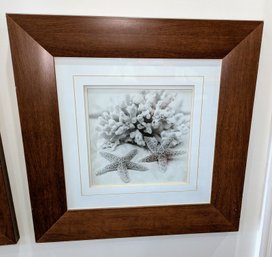 Wood Framed Double Star Fish & Coral Print