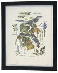 Vintage Botanical And Bird Print - Number 4 In A Series Of Paintings By Arthur Singer