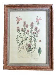 Framed  Floral Book Plate