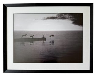 Framed Dog Photograph