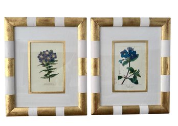 Pair Of Trowbridge Striking Florals