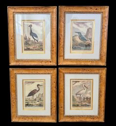 Burl Framed Trowbridge Fowl Prints-Quad