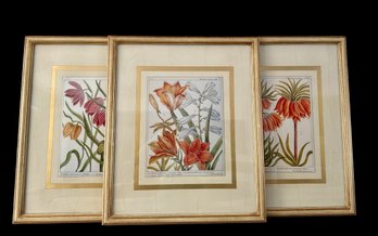 Floral Trio- Gold And Coral Toned Prints