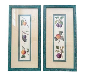 Pair Of Fruit Bookplate Prints