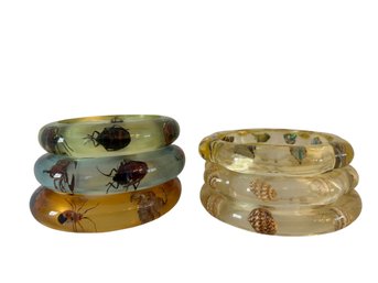 Encapsulated Bug & Shell Bangle Bracelets
