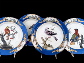 Chelsea House Stunning & Vivid Bird Display Plates