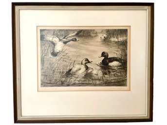 Beautiful Vintage, Pencil Signed  Ducks Etching .