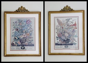 After Rob Furber, Framed Prints May & August