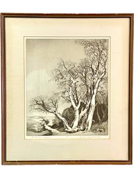 Vintage Framed Etching , Pencil Signed By Awards Winning Mildred Bryant Brooks (american 1901-1995)