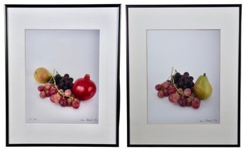 Pair Of  Signed Jan Rowl Still Life Paintings On Glass