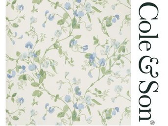 NEW - Three Rolls Cole & Son Sweet Pea