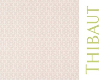 NEW- One Roll Thibaut Zion Pink