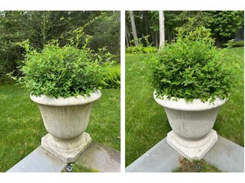 Pair Of  Faux Cement Planters With Plants