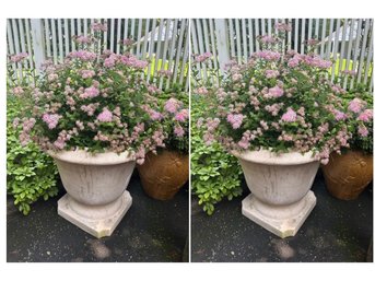 Pair Of 'Faux' Cement  Planters With Lush Plants