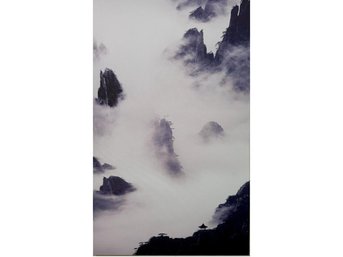 Paul Elson Images Photo Canvas - Purchased At Westport Fine Arts Festival