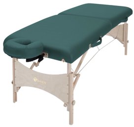 An Earthlite Massage Table - In Carrying Case