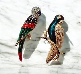 Two Bird Pins