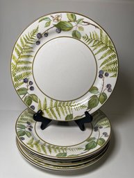 Set Of Six Villeroy & Boch Forsa 10.5in Dinner Plates
