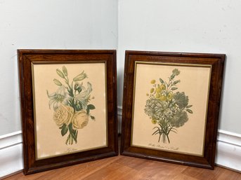 Vintage Botanical Framed Prints
