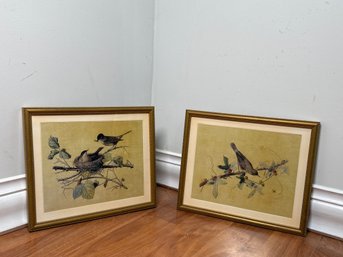Vintage Audubon Style Bird Prints