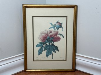 Vintage Botanical Framed Print