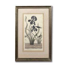 1973 American Heritage Edition Purple Iris Plate Restrike 411/500